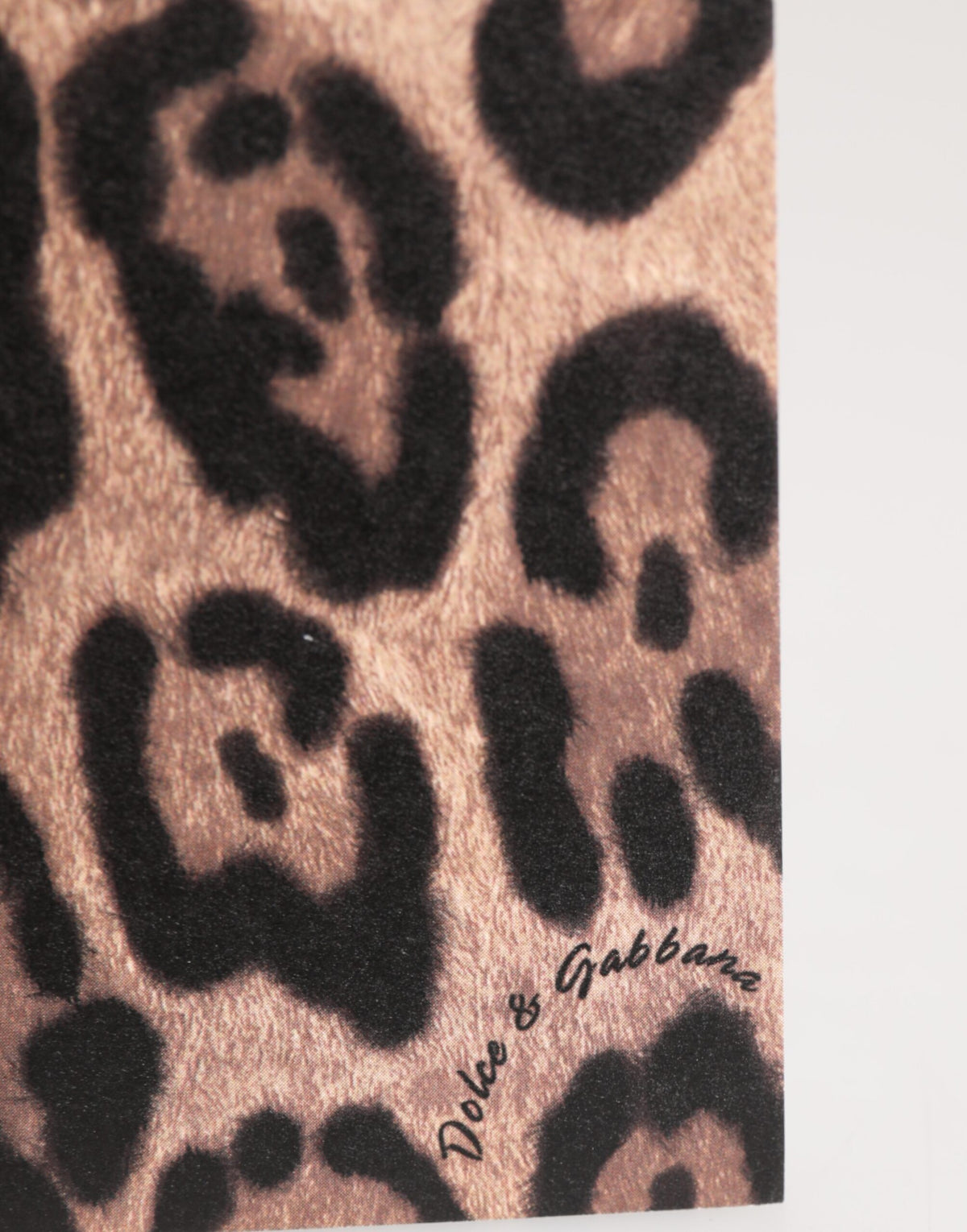Dolce & Gabbana Multicolor Leopard Print Envelope Paper Post Card Holder