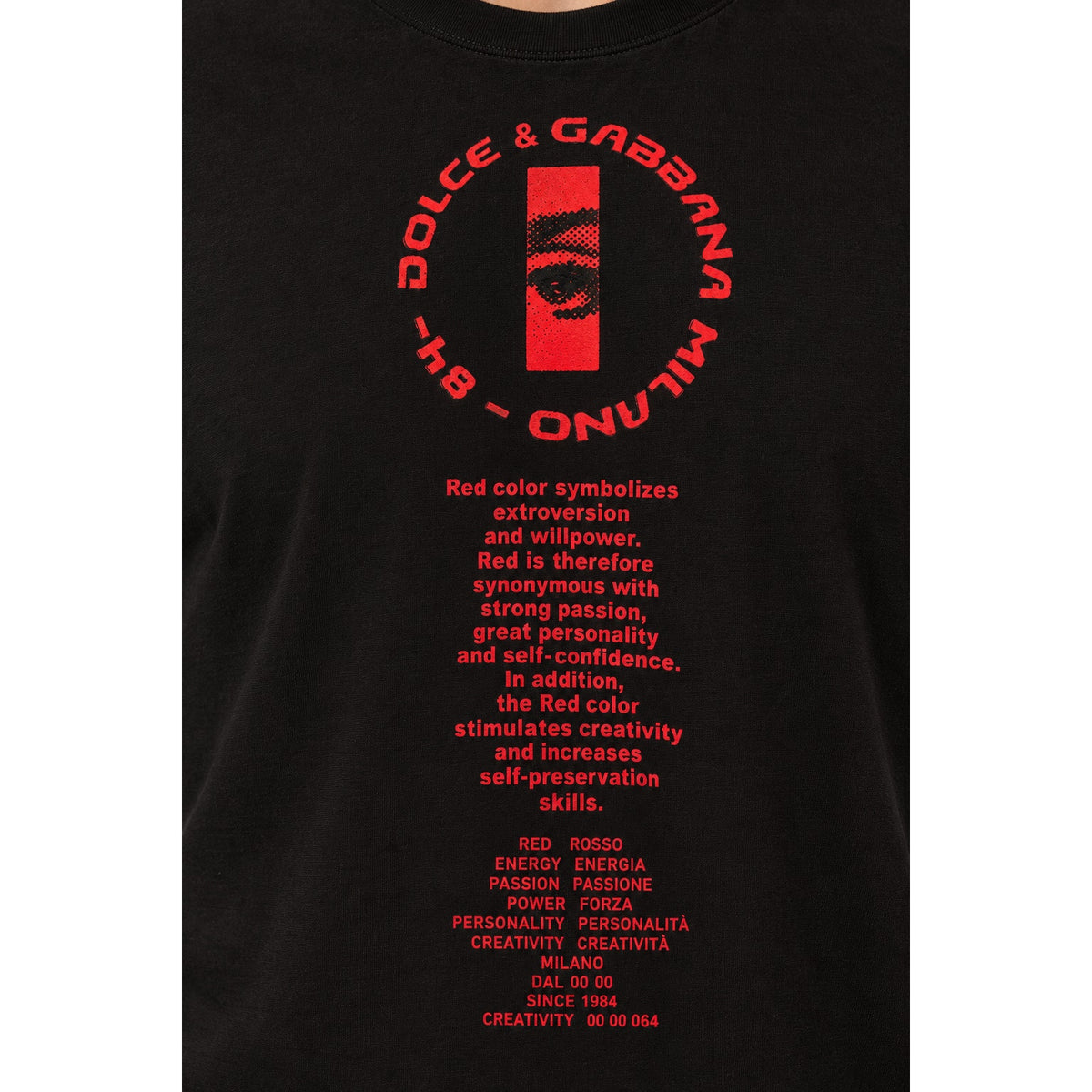 Dolce & Gabbana Black Hot Animalier Red Letter Logo T Shirt